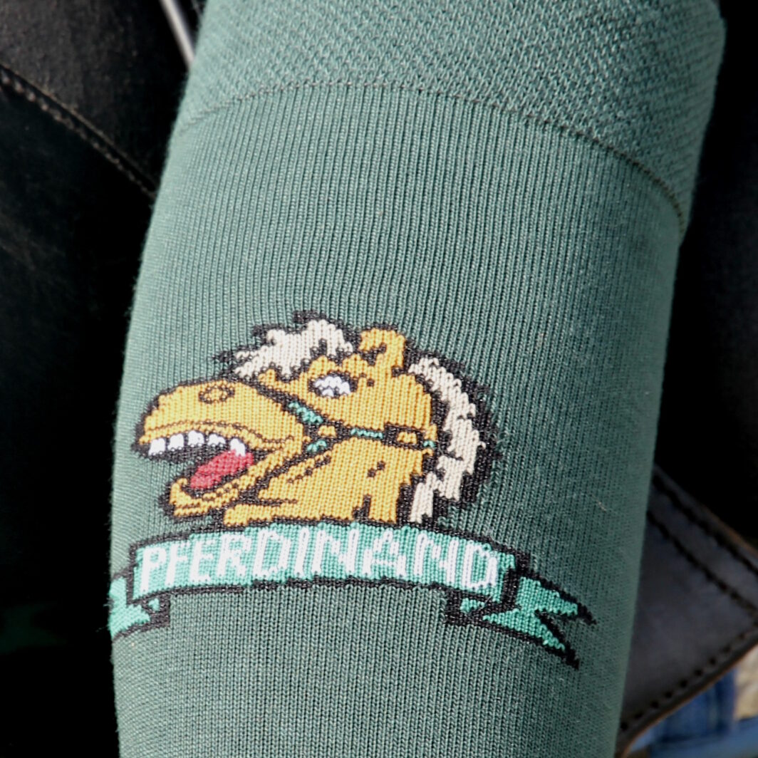 Logo Kniestrumpf Pferd Reitsport